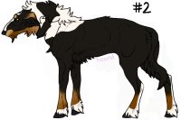 Deerhound #--2