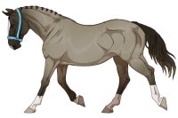 Range Trotter #180 Range Trotter #180