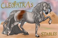 Cleopatra's Stable #55 No Tack