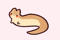 slug cat
