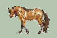 horse sketch