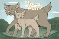 Storm Haven | Open