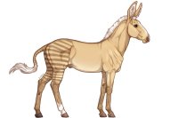 Senegal Zebra : 179 Senegal Zebra : 179