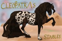 Cleopatra's Stable #78 Tackless Ref