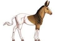 Senegal Zebra : 181 Senegal Zebra : 181