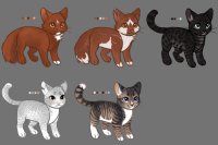 some cats for me