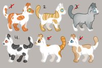 beau's cats - batch #2 (2/6 OPEN for 10c$)