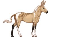 Senegal Zebra : 184 Senegal Zebra : 184