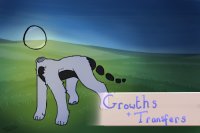 Terrabites Growths + Transfers