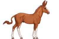 Senegal Zebra : 186 Senegal Zebra : 186