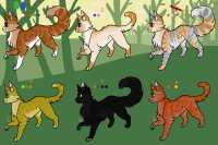 6 cat adopts! 5/6 available
