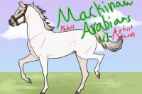 Mackinaw Arabians V.1 Artist Search!