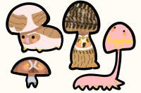 owl mushrooms ota- 4/4 open