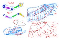 How to draw wings pt 3