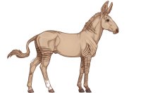 Senegal Zebra : 194 Senegal Zebra : 194