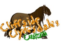 Cliffside Clydesdales V.3 Customs!