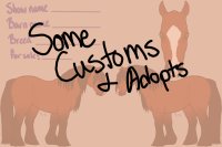 Draft Customs and adopts