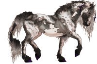 Khimaira Friesian #209 - Dragon Born Custom Khimaira Friesian #209 - Dragon Born Custom