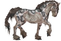 Khimaira Friesian #210 - Dragon Born Breeding Khimaira Friesian #210 - Dragon Born Breeding