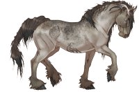 w/o scales w/o scales