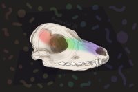 Gay skull