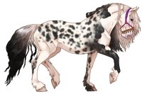 #3809 - Khimaira Friesians Custom #3809 - Khimaira Friesians Custom