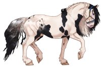 #3810 - Khimaira Friesians Breeding #3810 - Khimaira Friesians Breeding