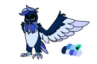 Custom for starlight owl