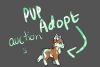 Pup adopt auction (open)
