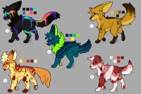 dog adopts | 2/5 open