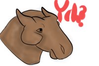 Horse YCH?