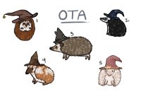 Hedgehogs wearing hats