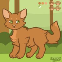 Cat Base / Shrewtail
