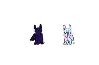 bought adopts