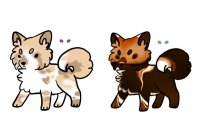 canine adopts available!