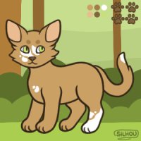 Cat Base / Sagekit
