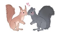that's it. we are squirrel gfs