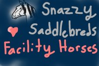 Snazzy Saddlebreds Facility Horses