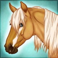 Horse Avatar Cover