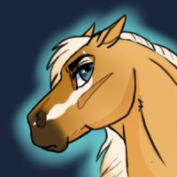 Horse avatar cover