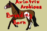 Aviatrix Arabians Breeding Barn