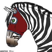 Racing zebra