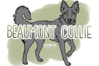 Beaumont Collie V.2