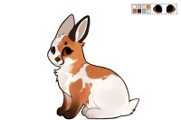 [ Cottontail #169 - Fox ]
