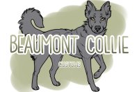 Beaumont Collie Customs V.2
