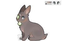 [ Cottontail #171 - Refresh ]