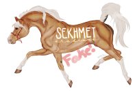 Sekhmet Arabians Artist Search