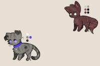 Catto Babies