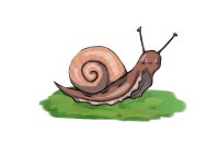 shiny snail