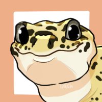 Leopard Gecko ava